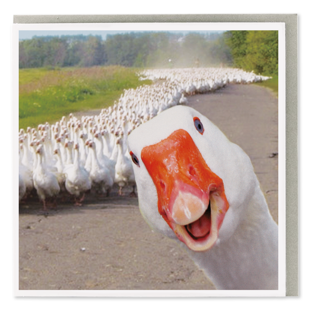 Goose Army Greeting Card