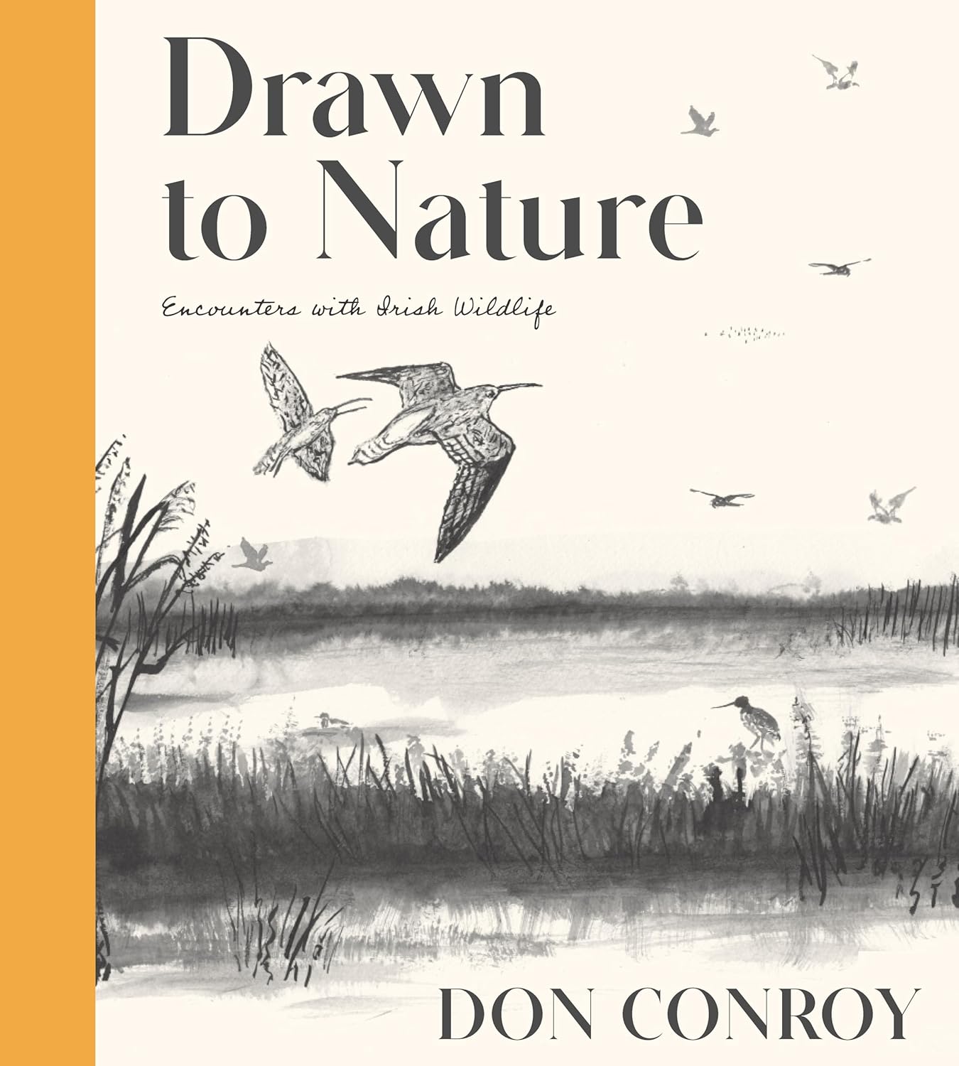 Drawn to Nature: Encounters with Irish Wildlife DNO