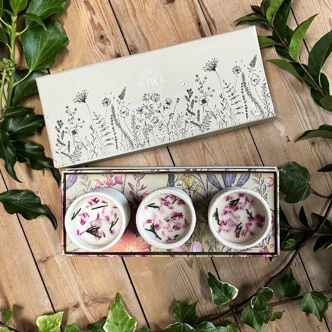 Elderberry and Spotted Nettle Trio Set