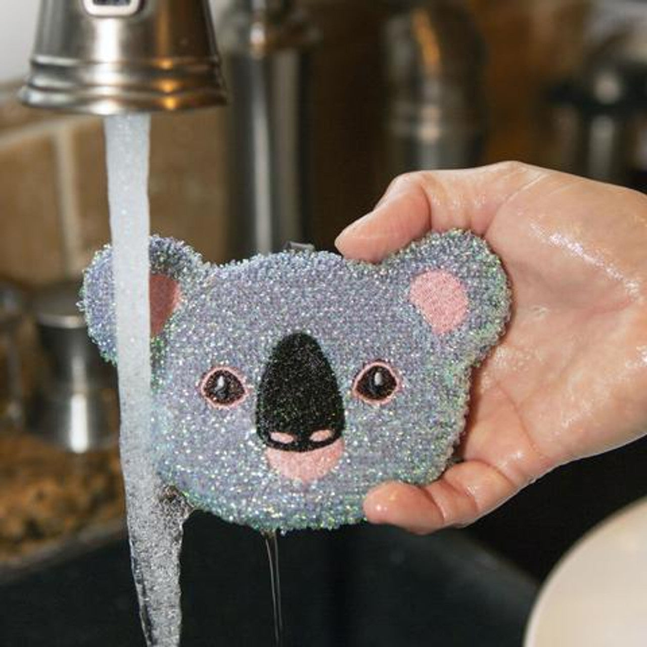 Koala Sponges, Set of 3