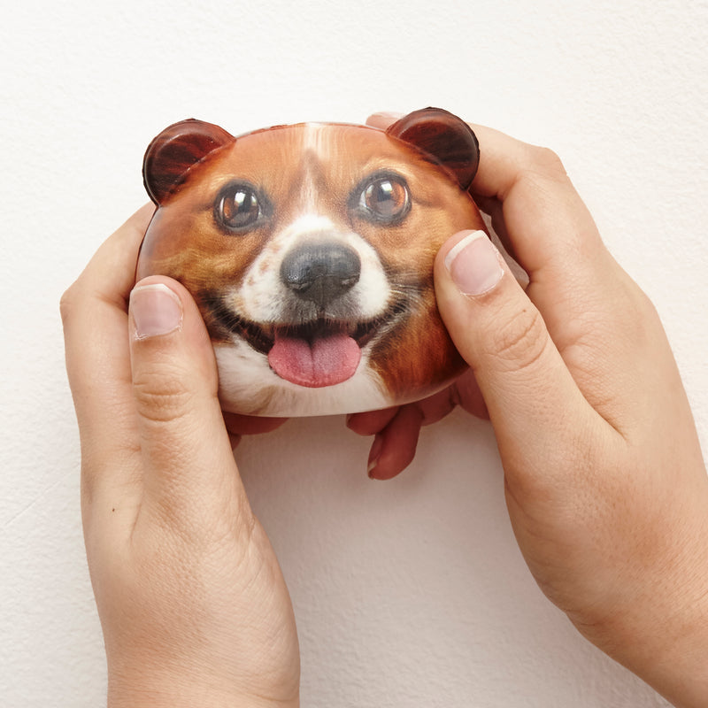 Dog Stress Balls