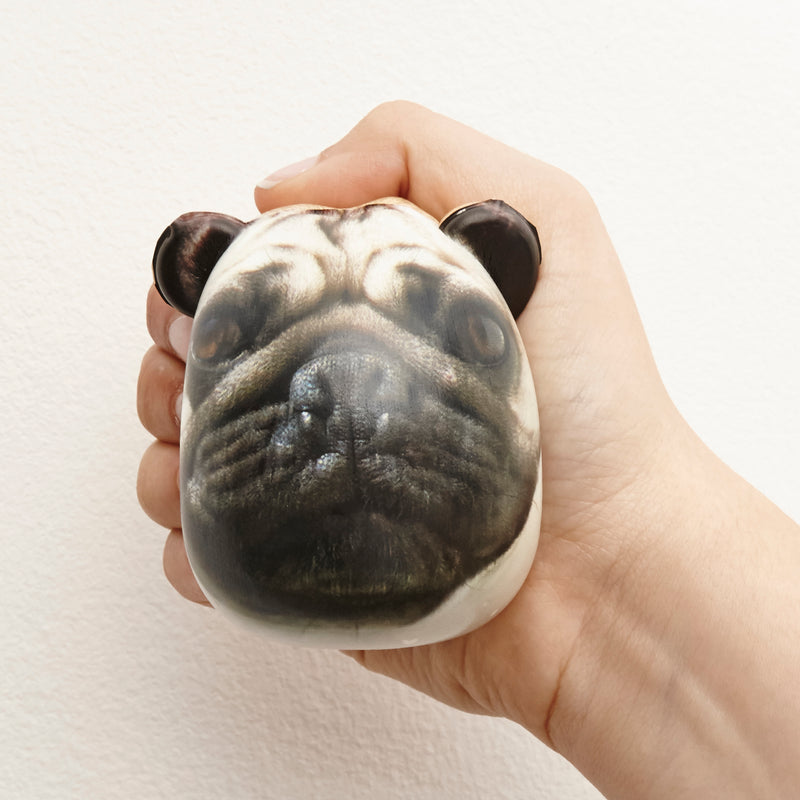 Dog Stress Balls