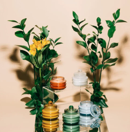 Beam Glass Candle Green / Cactus Flower