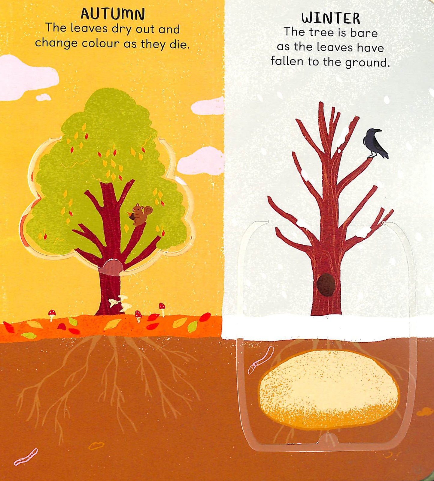 All the Things a Tree Can Be