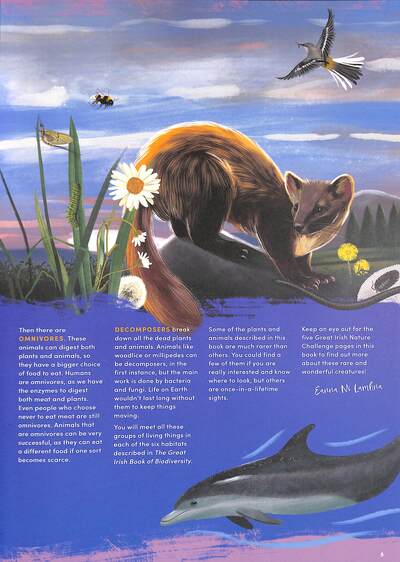 Great Irish Biodiversity Book