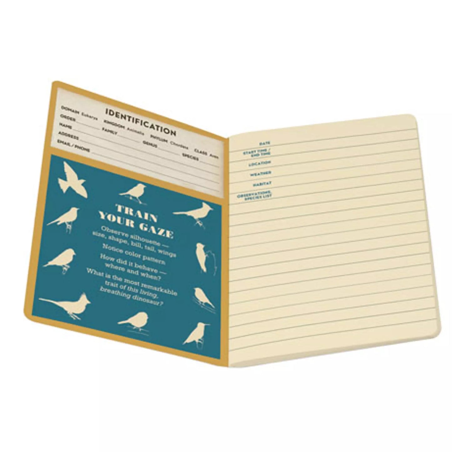 Birdwatching Notebook