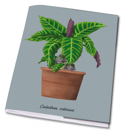 Calathea Zebrina A5 Notebook