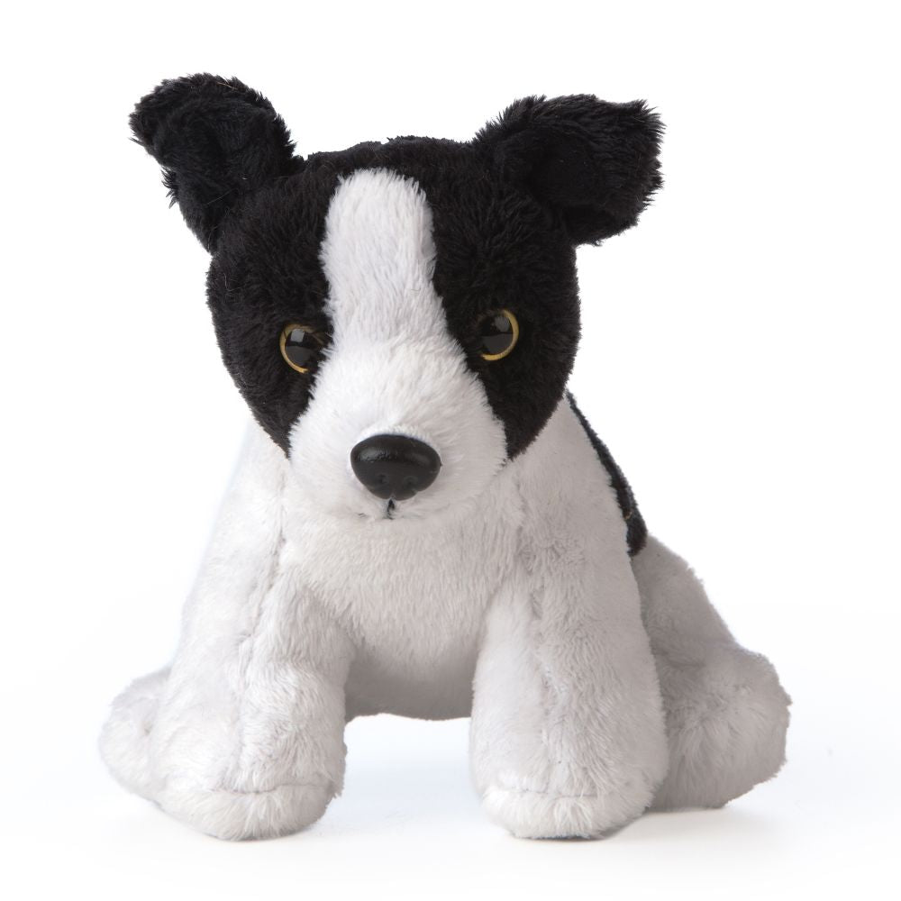 SMOLS Border Collie