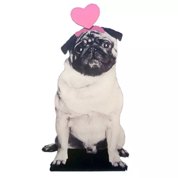 Flat Pet Love Pug