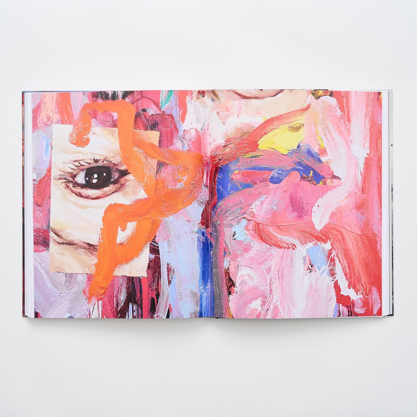 Jenny Saville - the Anatomy of Painting