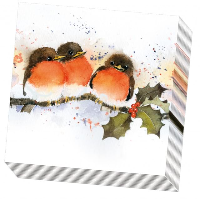 Christmas Robins 20 Napkins