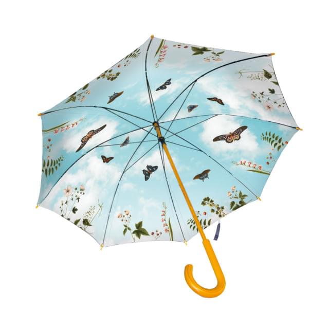 Automatic Folding Umbrella