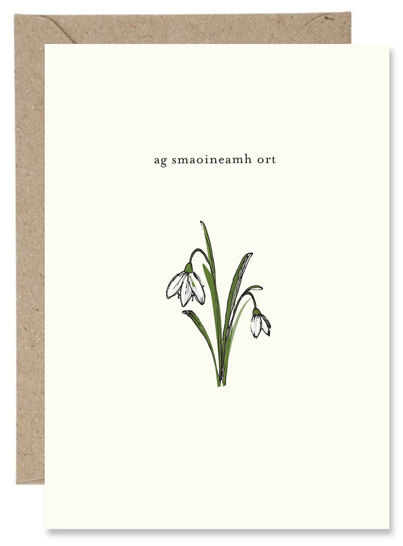 The Paper Gull 'Ag Smaoineamh Ort' Greeting Card