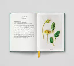 The Urban Forager