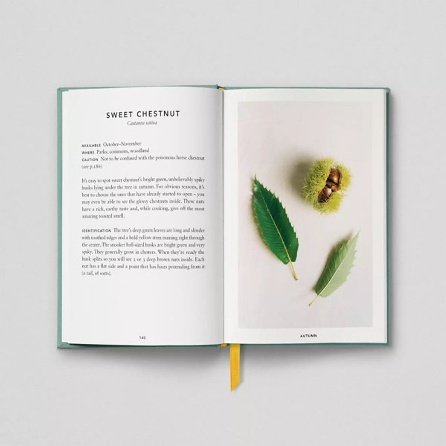 The Urban Forager