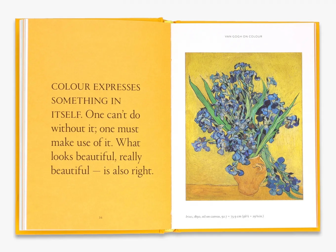 The World According to Vincent van Gogh