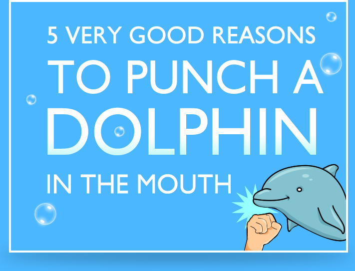 5 Very Good Reasons to Punch a Dolphin in the Mouth