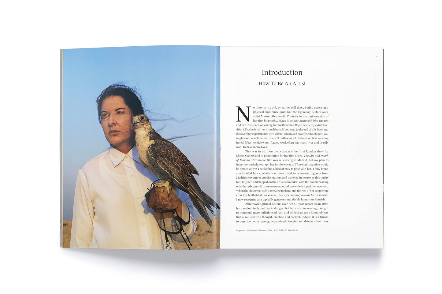Marina Abramovic (Art File)