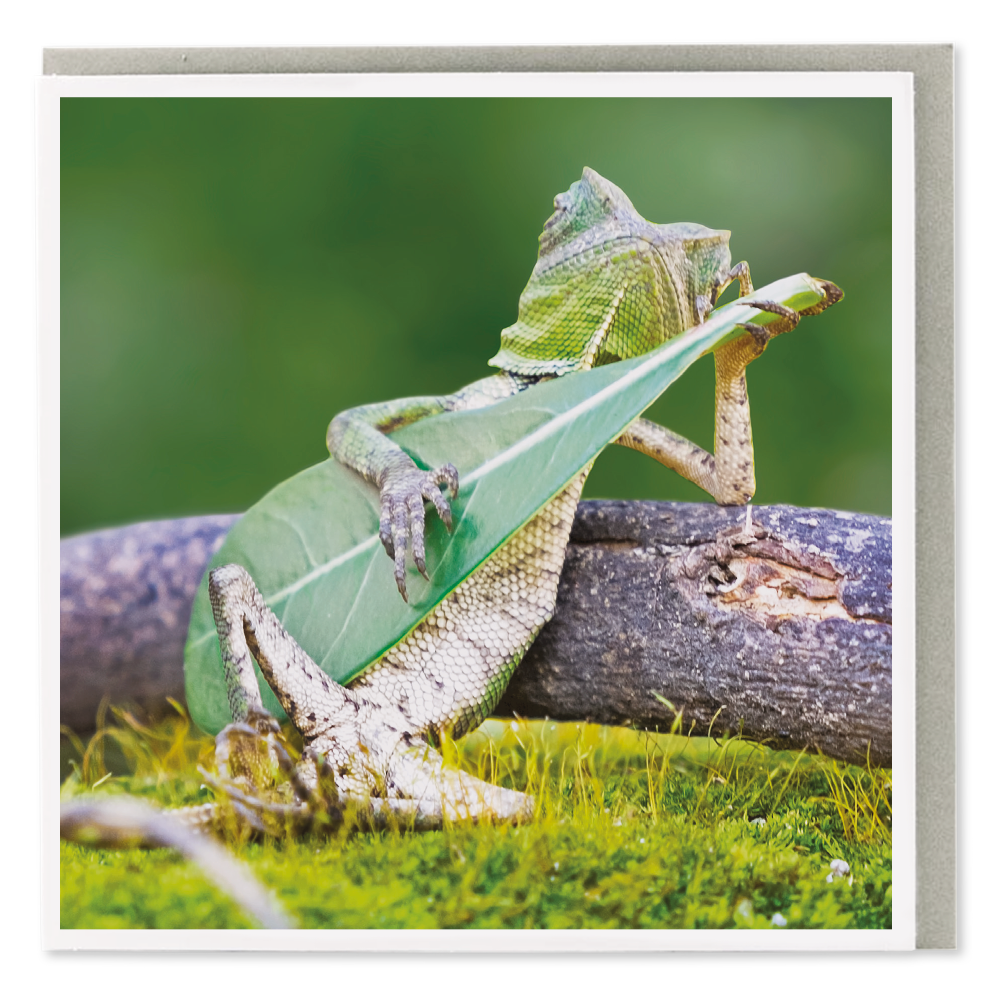 Jungle Jamming Greeting Card