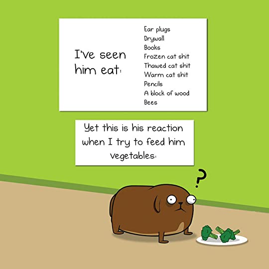 My Dog the Paradox