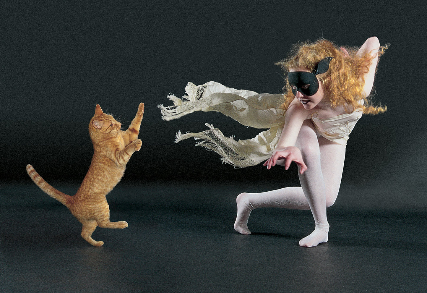 Dancing With Cats
