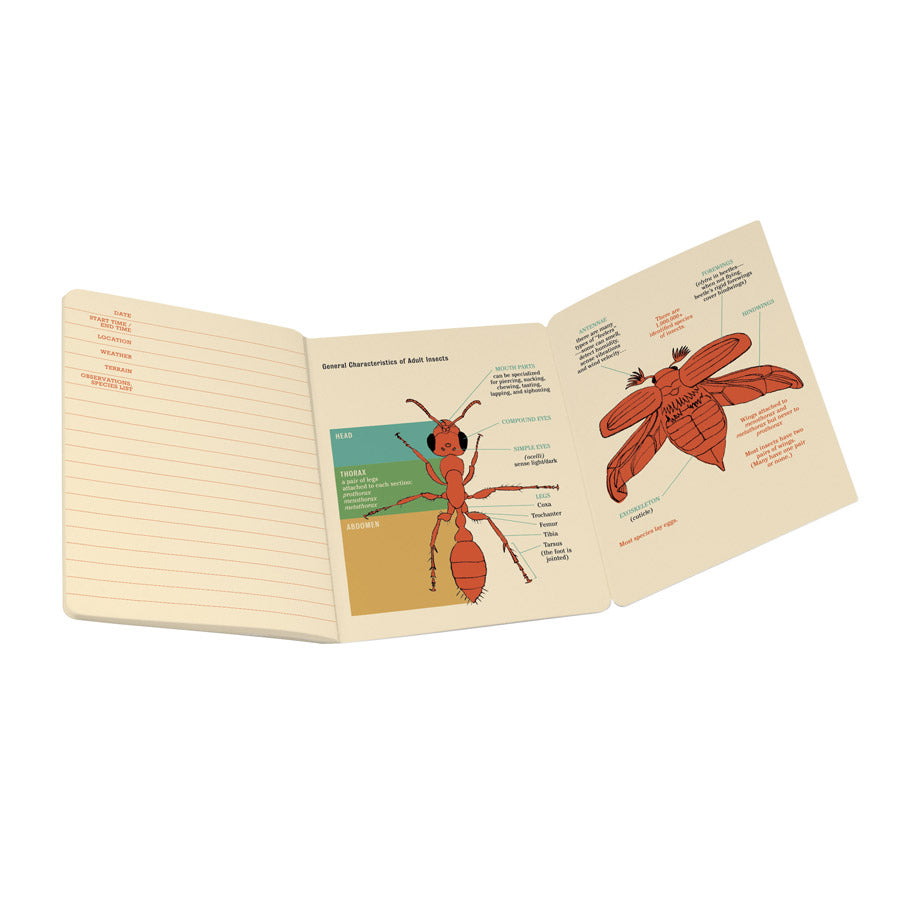 Entomology Notebook
