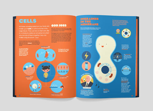 The Great Irish Science Book