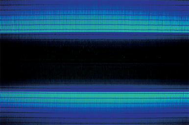 Juan Usle, Bocanegra Köln (2004)