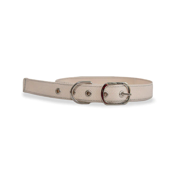 DIY Cross Stitch Dog Collar (Small)