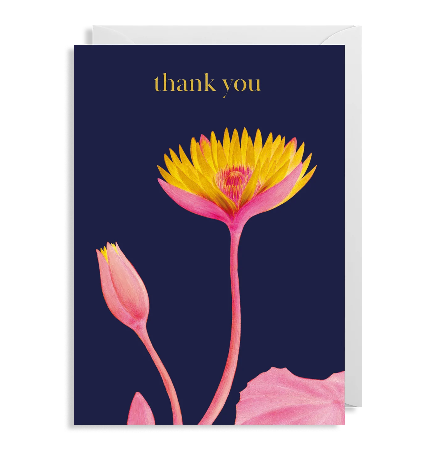 Thank You Greeting Card