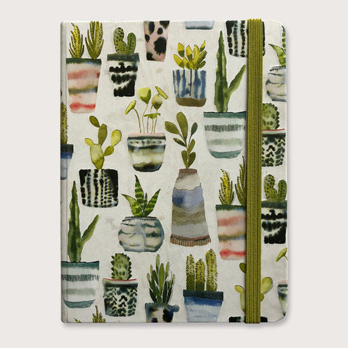 Water Succulents Journal