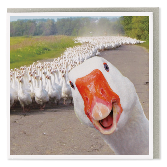 Goose Army Greeting Card