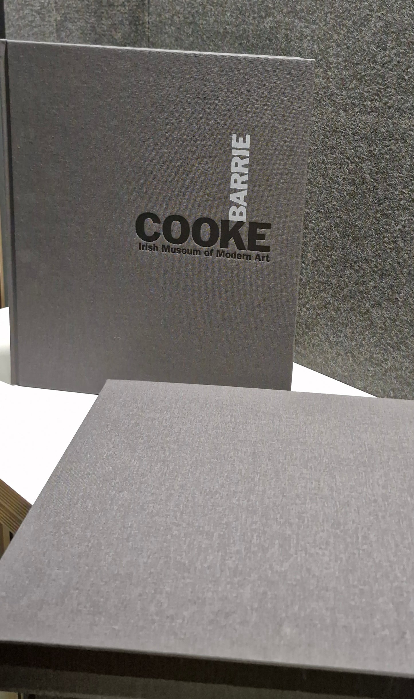 Barrie Cooke & Dermot Healy (2011)