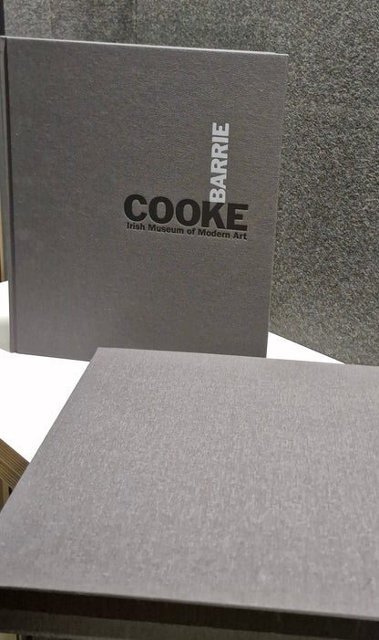 Barrie Cooke & Dermot Healy (2011)