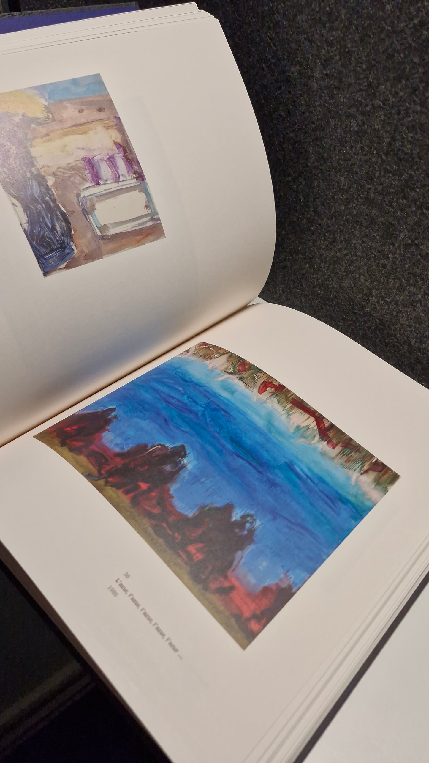 Barrie Cooke & Dermot Healy (2011)