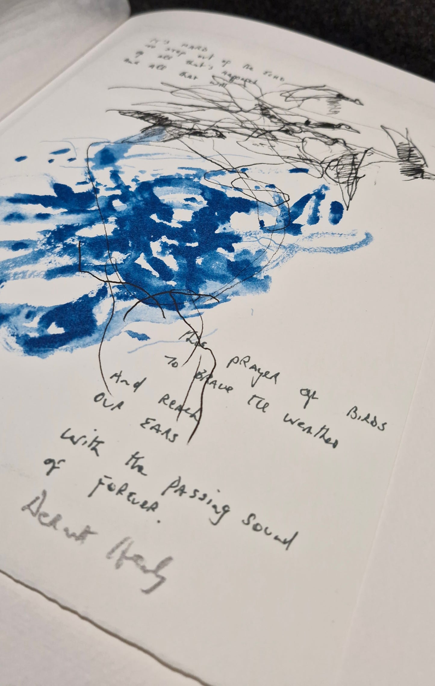 Barrie Cooke & Dermot Healy (2011)