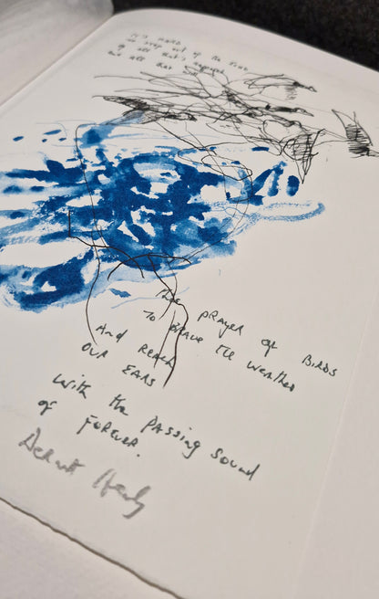 Barrie Cooke & Dermot Healy (2011)