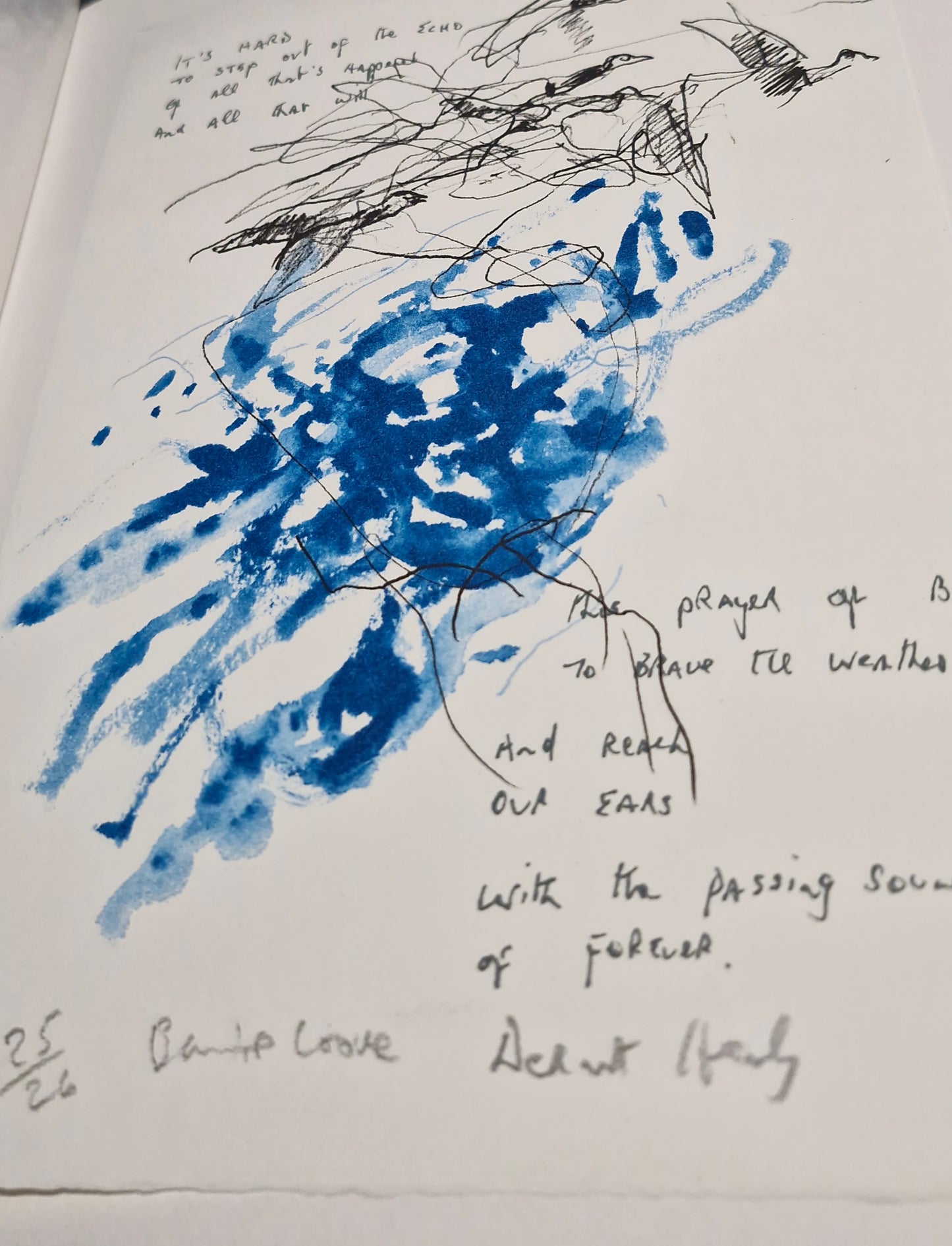 Barrie Cooke & Dermot Healy (2011)