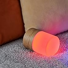 Large Lemelia Night Lights