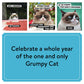 Grumpy Cat 2024 Wall Calendar