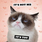 Grumpy Cat 2024 Wall Calendar