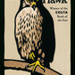 H is for Hawk