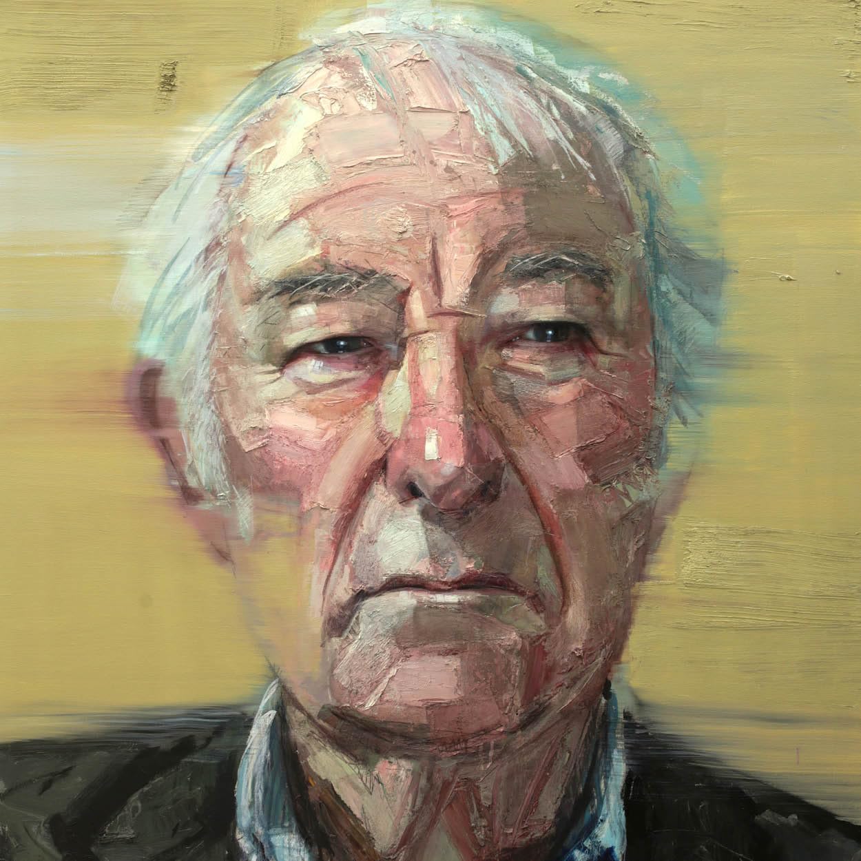 Twelve Paintings - Colin Davidson