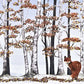 Fox and Birches Deluxe Boxed Holiday Cards