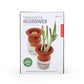 Terracotta Regrower, Set of 2