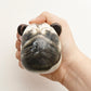 Dog Stress Balls