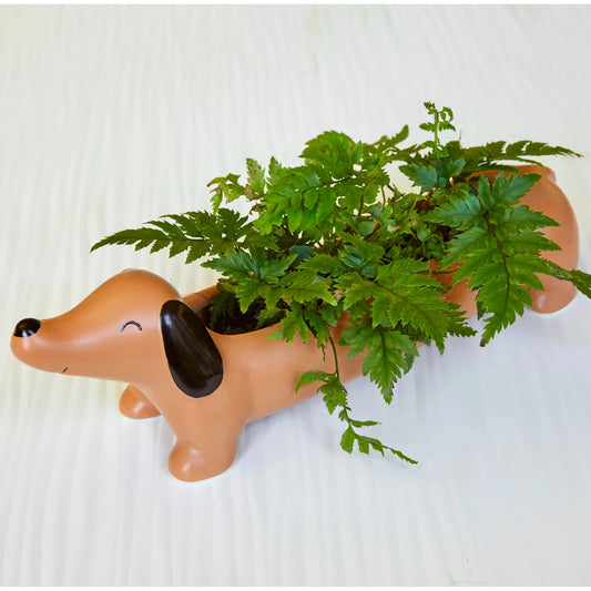 Daisy The Dachshund Planter