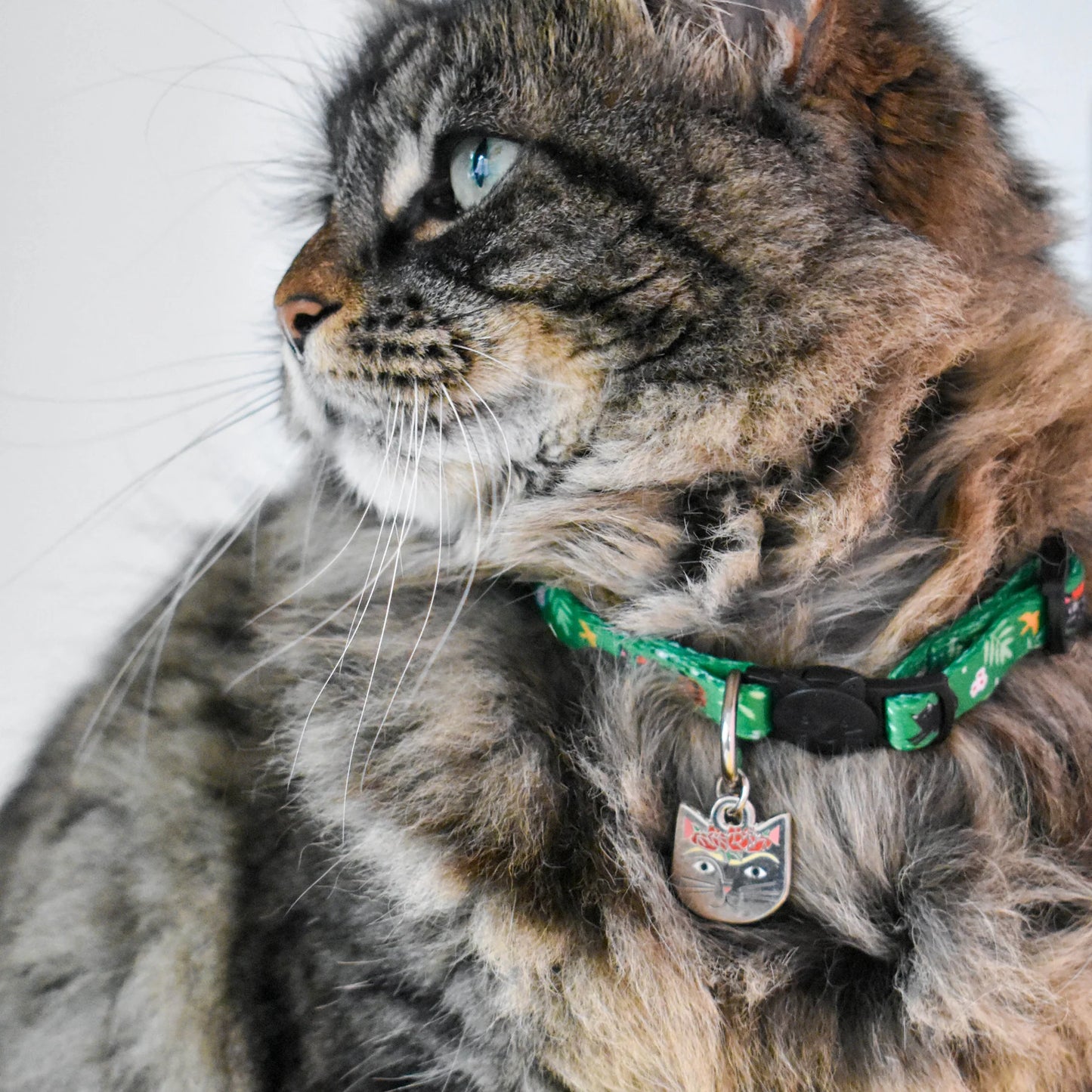 Furida Catlo Artist Cat Collar
