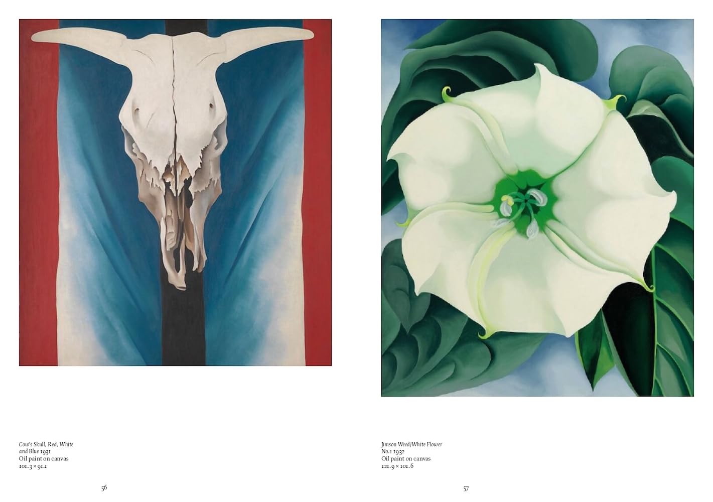 Artists Series: Georgia O'Keeffe