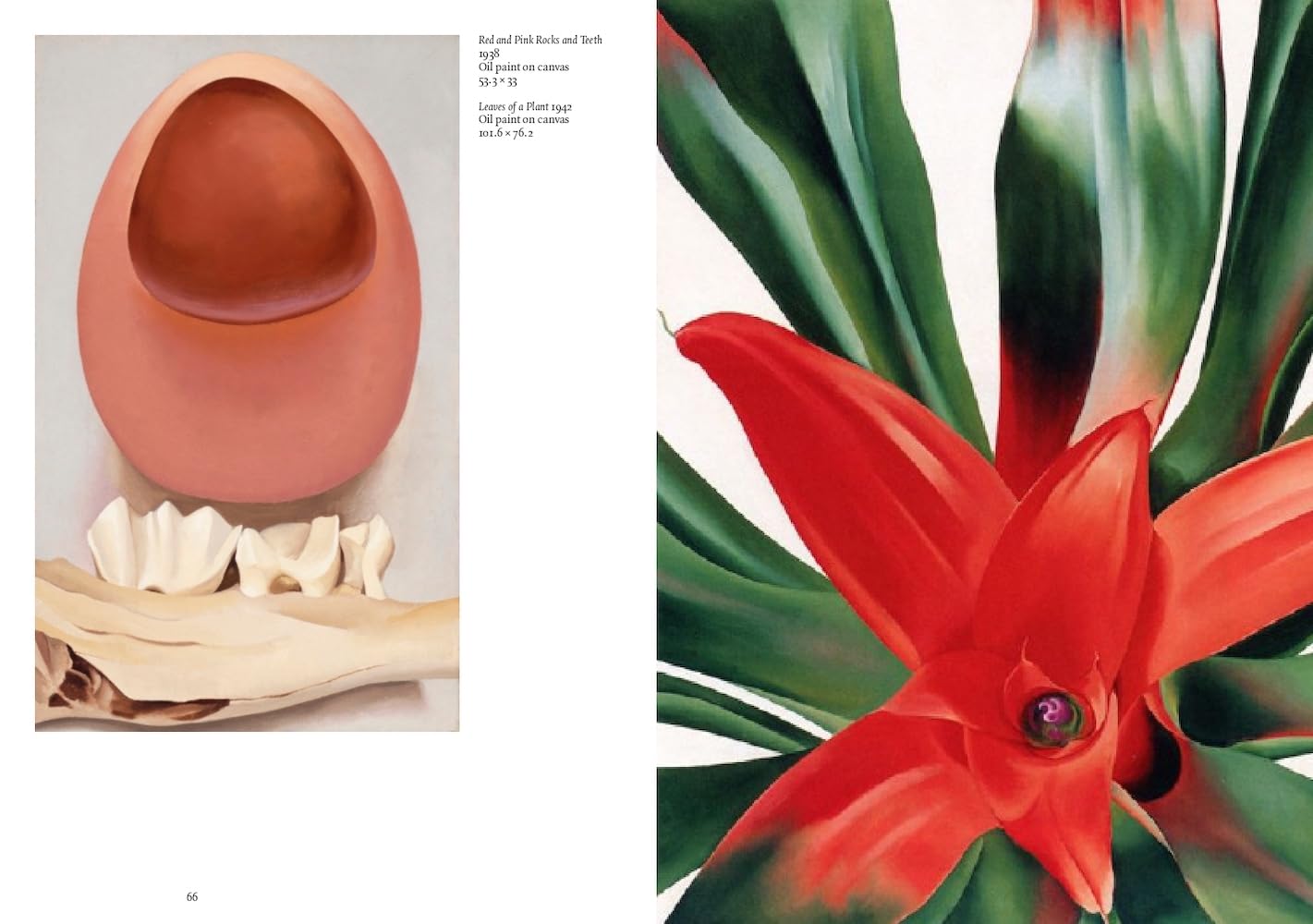 Artists Series: Georgia O'Keeffe